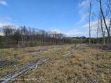 295 Shellstone Rd - Photo 59