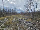 295 Shellstone Rd - Photo 61