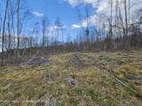 295 Shellstone Rd - Photo 63