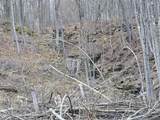 295 Shellstone Rd - Photo 66