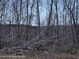 295 Shellstone Rd - Photo 75