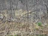295 Shellstone Rd - Photo 83