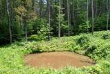 1604 Spruceton Road - Photo 6