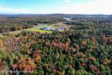 Lot 3.1 State Rt 17B - Photo 15