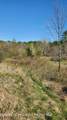 Tbd Boice Mill Road - Photo 4