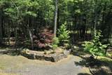 281 Dewitt Road - Photo 28