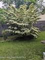2 Shokan Park Road - Photo 42