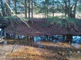 309 Goshen Street - Photo 11
