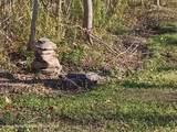 309 Goshen Street - Photo 5