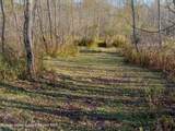 309 Goshen Street - Photo 8