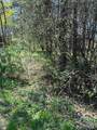 4 Catskill Court - Photo 2
