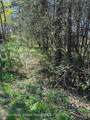 4 Catskill Court - Photo 6