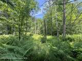 0 Ny-22 - Photo 3