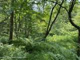 0 Ny-22 - Photo 4