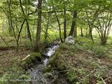 0 Ny-22 - Photo 5