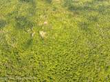 Tbd Boulder Brook Rd Lot 11 - Photo 22