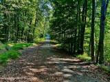 80 Forever Ivy Lane - Photo 16