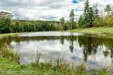120 Route 203 - Photo 17