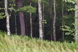 120 Route 203 - Photo 19