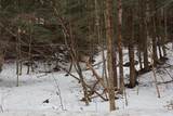 155 Shaver - Photo 2
