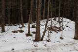 155 Shaver - Photo 5