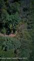 358 Hill Road - Photo 12