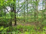 Lot 23 Deer Meadow Road - Photo 11