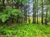 Lot 23 Deer Meadow Road - Photo 12