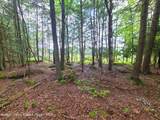 Lot 23 Deer Meadow Road - Photo 19