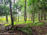 Lot 23 Deer Meadow Road - Photo 21