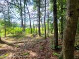 Lot 23 Deer Meadow Road - Photo 23