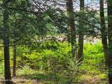 Lot 23 Deer Meadow Road - Photo 28
