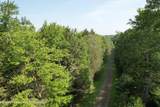 Lot 23 Deer Meadow Road - Photo 3