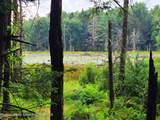 Lot 23 Deer Meadow Road - Photo 5