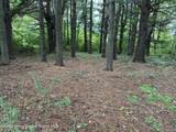 Tbd Todd Rd Road - Photo 2