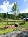 4 Windham Farms Road - Photo 16
