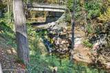 2478 Route 145 - Photo 51