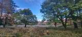 1195 State Rt 17B - Photo 11