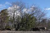 Tbd Manorville Road - Photo 5
