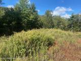 Tbd Manorville Road - Photo 9