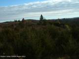 0 Middle Road - Photo 8