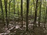 Tbd Strong Road - Photo 14