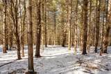 Tbd Strong Road - Photo 25