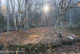 1361 Weaver Hollow Road - Photo 12