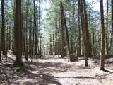 Tbd Buck Road - Photo 10