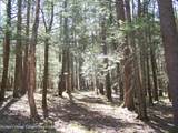 Tbd Buck Road - Photo 11