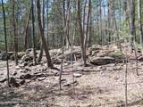 Tbd Buck Road - Photo 16