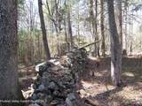 Tbd Buck Road - Photo 2