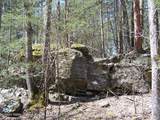 Tbd Buck Road - Photo 6