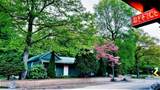 334 New York 32A - Photo 3